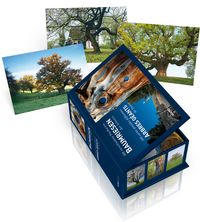 Produktbild: Postkartenbox Baumriesen der Schweiz