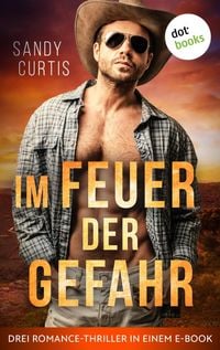 Produktbild: Im Feuer der Gefahr