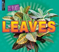 Produktbild: Leaves