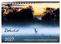 Produktbild: Rotwild - im Naturparadies der Mecklenburgischen Seenplatte (Tischkalender 2027 DIN A5 quer), CALVENDO Monatskalender