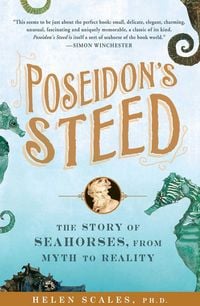 Produktbild: Poseidon's Steed