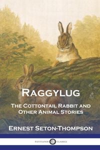 Produktbild: Raggylug