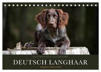 Produktbild: Faszination Jagdhund - Deutsch Langhaar (Tischkalender 2026 DIN A5 quer), CALVENDO Monatskalender
