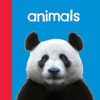 Produktbild: Baby Beginnings: Animals