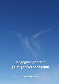Produktbild: Begegnungen mit geistigen Wesenheiten