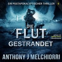 Produktbild: Die Flut: Gestrandet