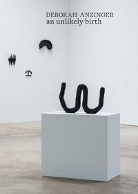 Produktbild: Deborah Anzinger: An Unlikely Birth