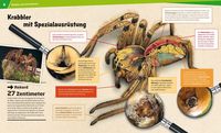WAS IST WAS Band 73 Spinnen. Jäger am seidenen Faden
