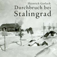 Produktbild: Durchbruch bei Stalingrad