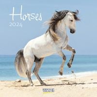 Bild vom Artikel Horses 2024 vom Autor 