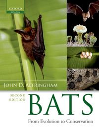 Produktbild: Bats