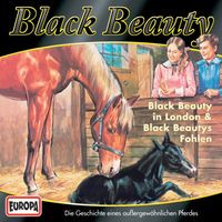 Bild vom Artikel Folge 03: Black Beauty in London / Black Beautys Fohlen vom Autor Margarita Meister