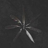 Produktbild: Dust And Disquiet (Emerald Green and White)
