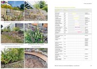 Kleiner Garten naturnah