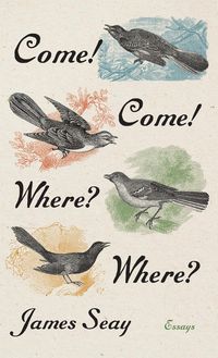 Produktbild: Come! Come! Where? Where?