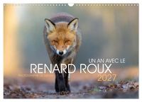 Produktbild: Un an avec le renard roux (Calendrier mural 2027 DIN A3 vertical), CALVENDO calendrier mensuel