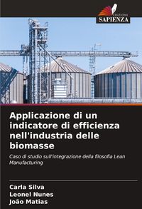 Produktbild: Applicazione di un indicatore di efficienza nell'industria delle biomasse