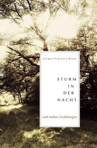 Produktbild: Sturm in der Nacht