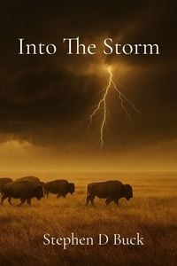 Produktbild: Into The Storm
