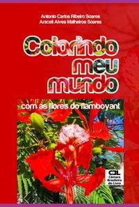 Produktbild: Colorindo Meu Mundo