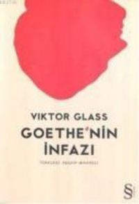 Produktbild: Goethenin Infazi