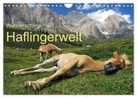 Produktbild: Wundersch&ouml;ne Haflingerwelt (Wandkalender 2027 DIN A4 quer), CALVENDO Monatskalender