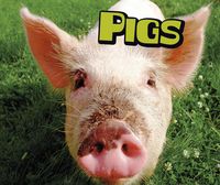 Produktbild: Pigs