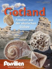 Bild vom Artikel Fossilien Sonderheft "Gotland" vom Autor 