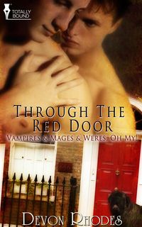 Produktbild: Through the Red Door