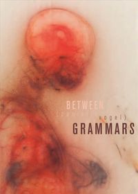 Produktbild: Between Grammars
