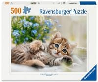 Produktbild: Erwachsenenpuzzle 500 Teile - S&uuml;&szlig;es K&auml;tzchen