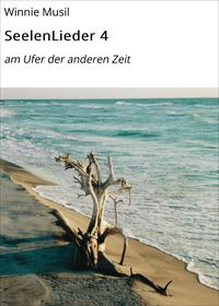 Produktbild: SeelenLieder 4