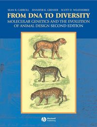 Produktbild: From DNA to Diversity