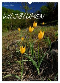 Produktbild: WILDBLUMEN (Wandkalender 2027 DIN A3 hoch), CALVENDO Monatskalender