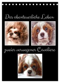 Produktbild: Das abenteuerliche Leben zweier verwegener Cavaliere (Tischkalender 2026 DIN A5 hoch), CALVENDO Monatskalender