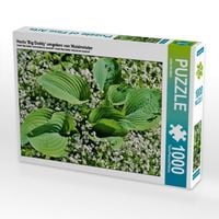 Produktbild: CALVENDO Puzzle Hosta 'Big Daddy' umgeben von Waldmeister | 1000 Teile Lege-Gr&ouml;&szlig;e 64x48cm Foto-Puzzle f&uuml;r gl&uuml;ckliche Stunden