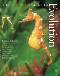 Produktbild: Losos, J: Princeton Guide to Evolution