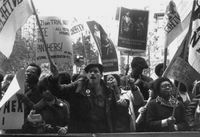 Produktbild: In Search of the Black Panther Party