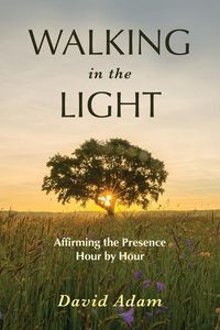 Produktbild: Walking in the Light