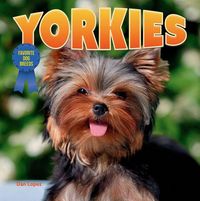 Produktbild: Yorkies