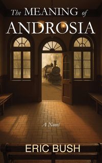 Produktbild: The Meaning of Androsia