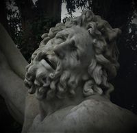 Produktbild: Poems that Salt the Eyes