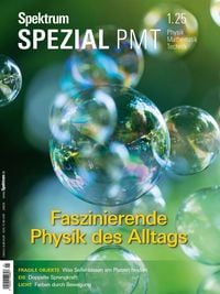 Produktbild: Spektrum Spezial PMT 1/2025 - Faszinierende Physik des Alltags