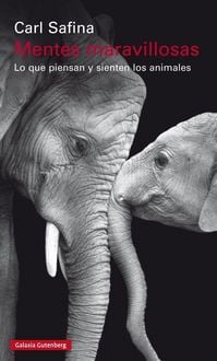 Produktbild: Mentes maravillosas : lo que piensan y sienten los animales