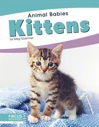 Produktbild: Kittens