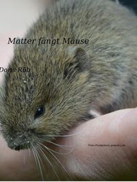 Produktbild: Matter f&auml;ngt M&auml;use