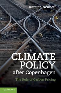 Produktbild: Climate Policy after Copenhagen