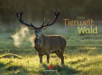 Bild vom Artikel Tierwelt Wald Kalender 2024 vom Autor Ackermann Kunstverlag