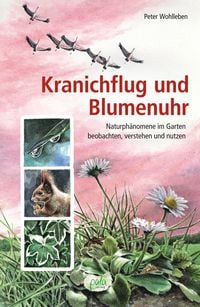 Produktbild: Kranichflug und Blumenuhr