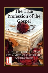 Produktbild: The True Profession of the Gospel